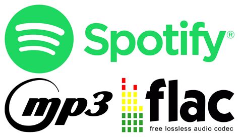 How to Rip Music from Spotify: An Explanation with Multiple Perspectives