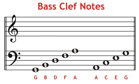 What is Bass in Music, and How Does it Shape Our Perception of Soundscapes?